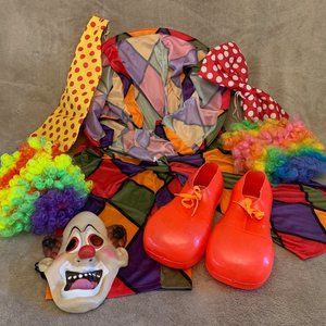 Clown Costumery (one size)